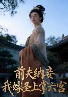 前夫纳妾，我嫁圣上掌六宫